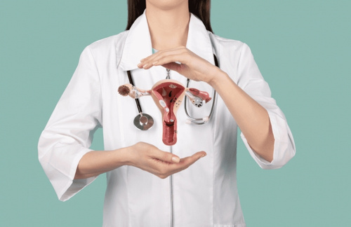 Hysteroscopic & Colposcopic Surgery